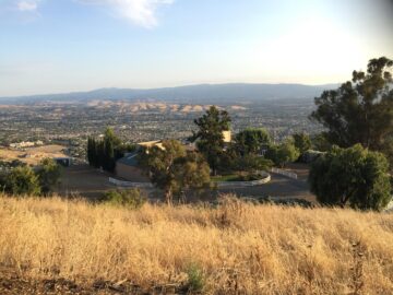 View from the well