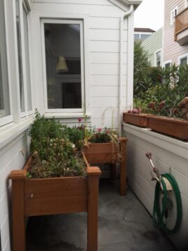 Planter boxes at the old house