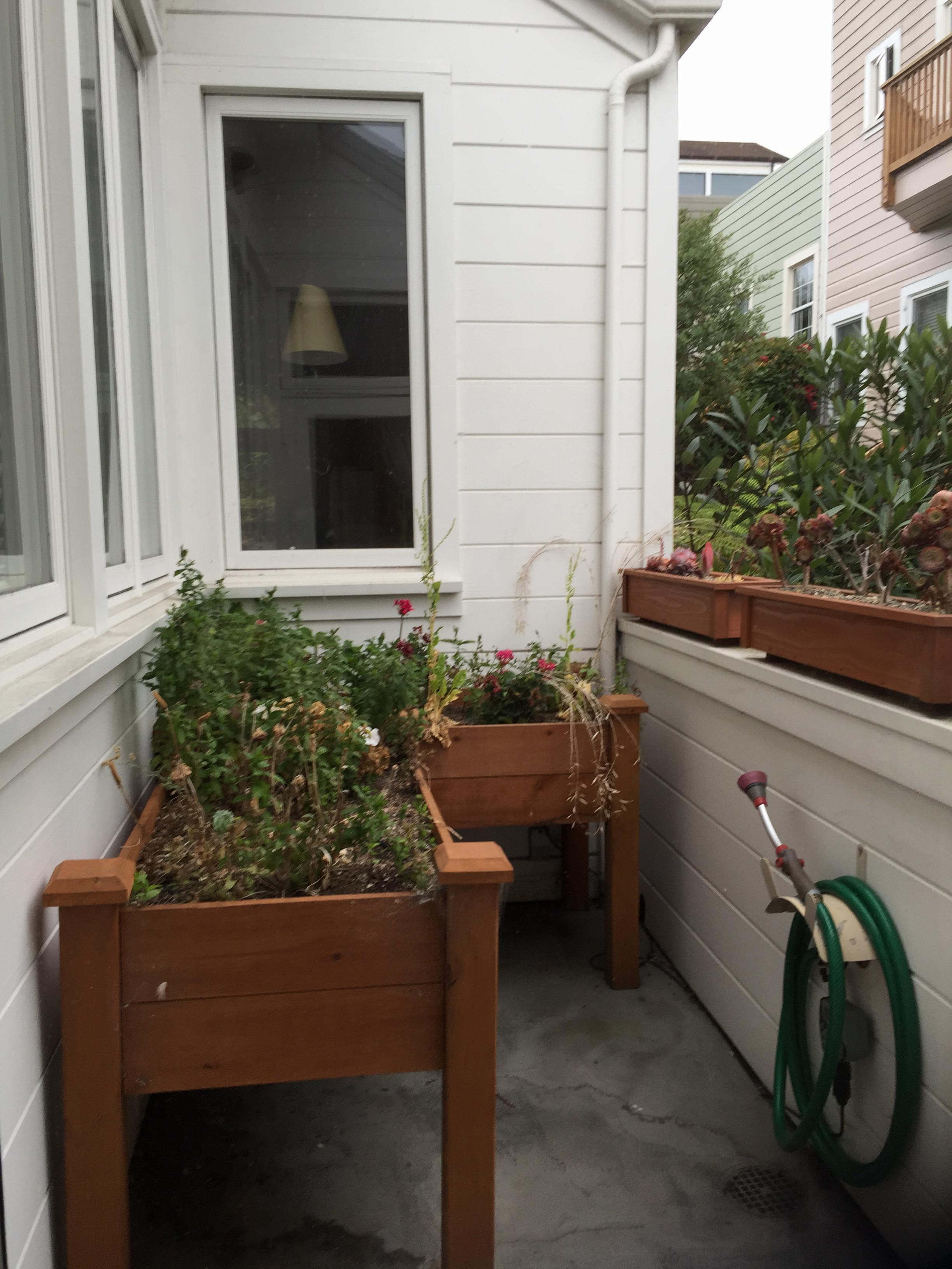 Planter boxes at old house