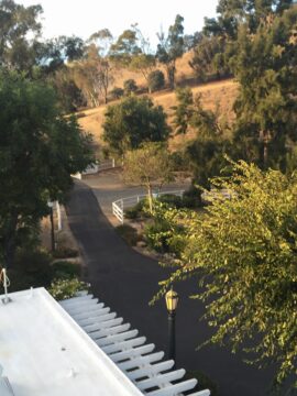 View From New Roof