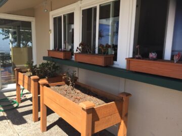 Planter boxes at new house