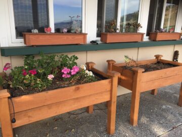Planter boxes at new house