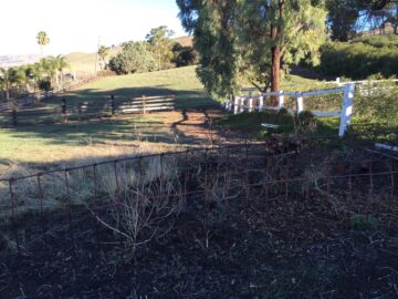 Kennel area now close-up