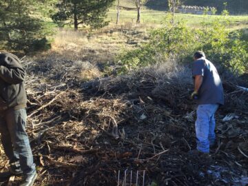 Cleaning the trash heap