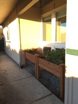 Planter box final resting place