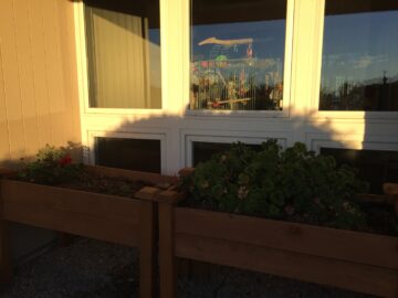 The sun sets on the planter boxes