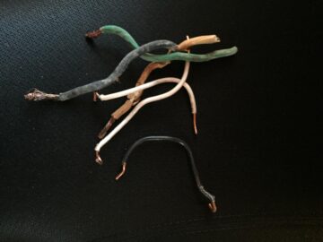 Ratty wire specimens
