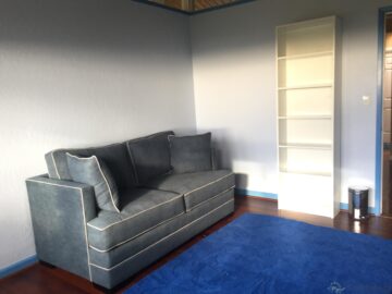Expensive couch going to waste in the blue room