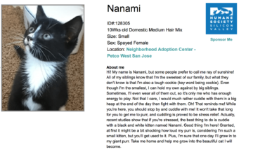 Nanami listing