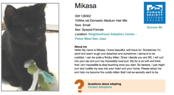 Mikasa listing