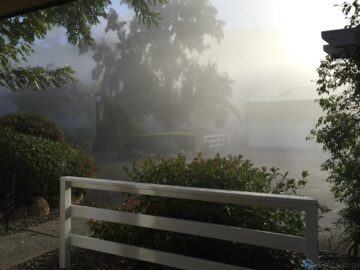 Foggy courtyard morning