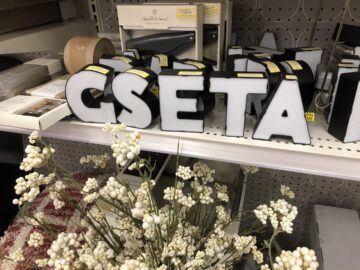 What could GSETA possibly spell?