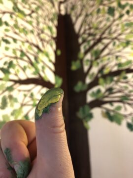 Stega's green thumb