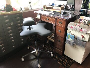 Stega's desk chair