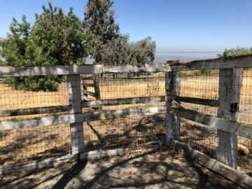 Rotting fencing