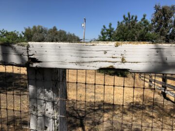 Rotting fence rails
