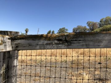Rotting fence rails