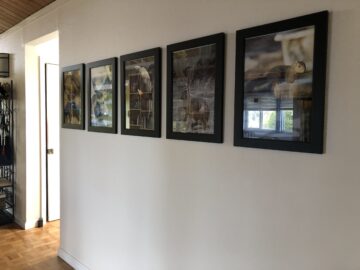 Stega's photos in the hallway
