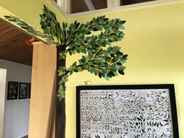 Boy's room tree has grown
