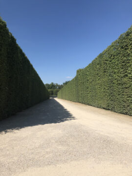 Gardens, Palace of Versailles