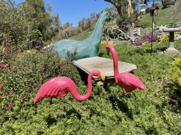 Apatosaurus with flamingo retinue