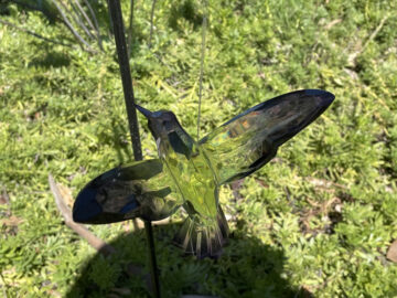 Hummingbird suncatcher