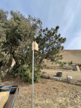 One of the many Purgatory nest boxes