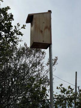 One of the many Purgatory nest boxes