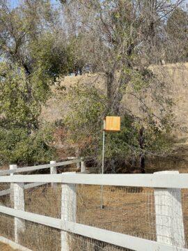 One of the many Purgatory nest boxes