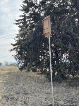 One of the many Purgatory nest boxes