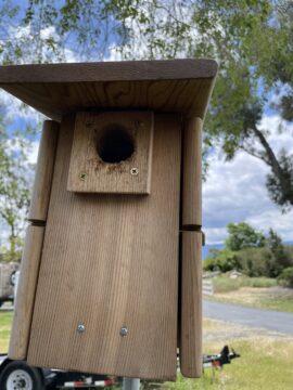 One of the many Purgatory nest boxes