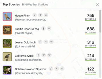 A melting pot of visitors