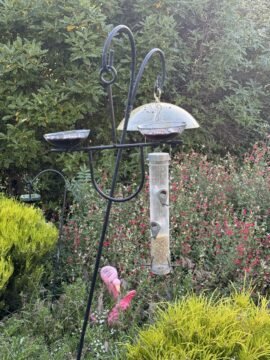 Feeding station in the middle of the garden