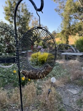 Songbird Wreath Feeder in use