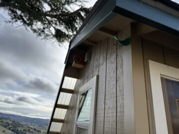 Short perch on shed building