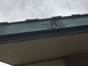 Dry rot on eaves