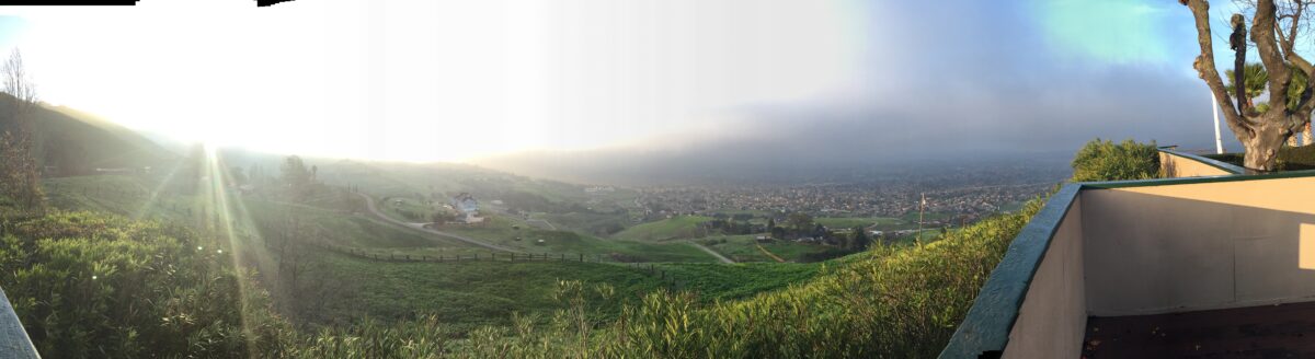 Panorama January 2016