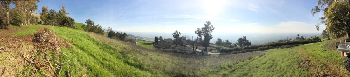 Panorama June 2020