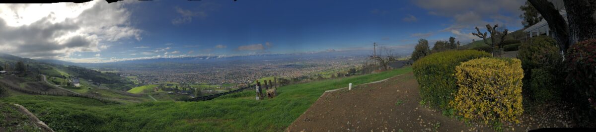 Panorama June 2020