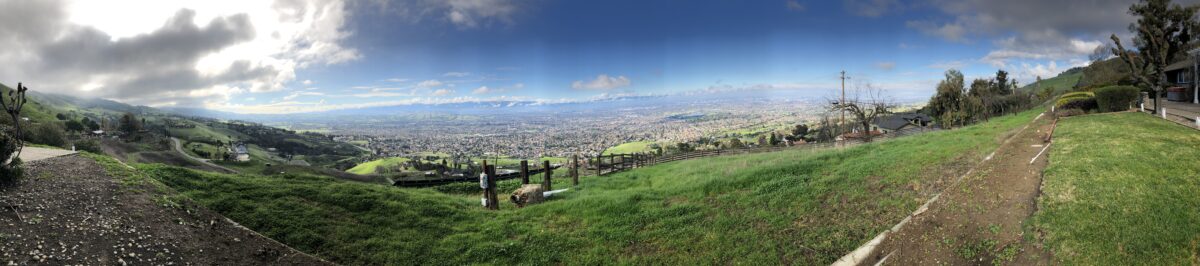 Panorama June 2020