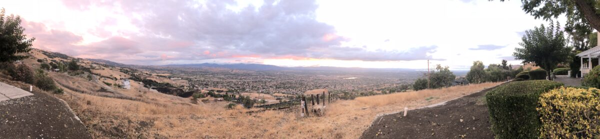 Panorama August 2020