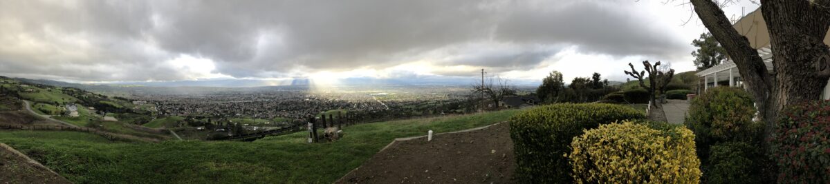Panorama July 2020