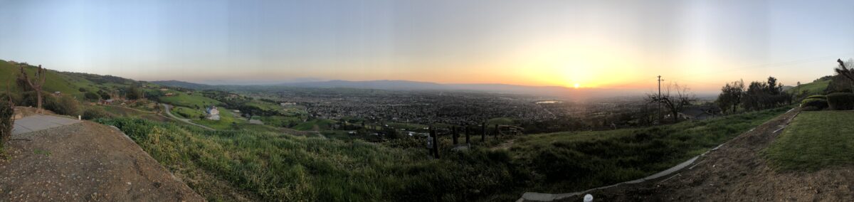 Panorama July 2020