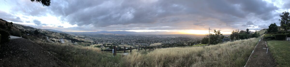 Panorama July 2020
