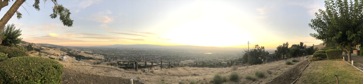 Panorama June 2021