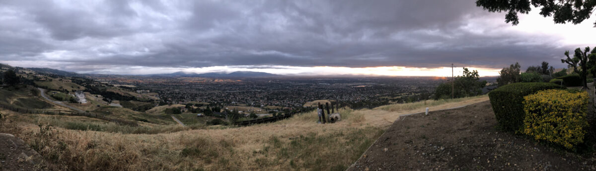 Panorama July 2021