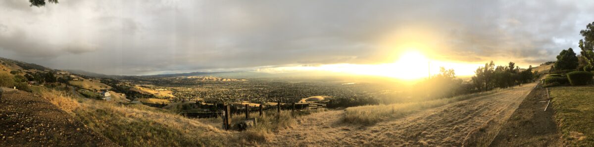 Panorama July 2021