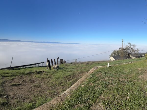 Sunday Panorama